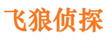 灵川调查取证